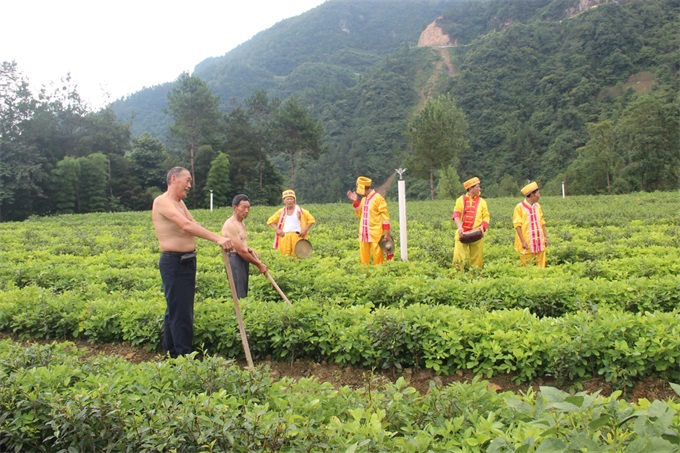 1598410504126.jpg 10.jpg