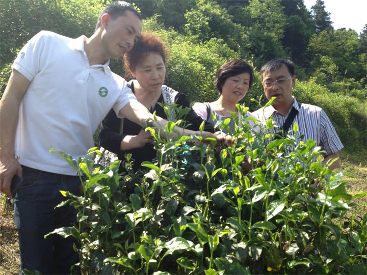 1598492211061.jpg 3.jpg