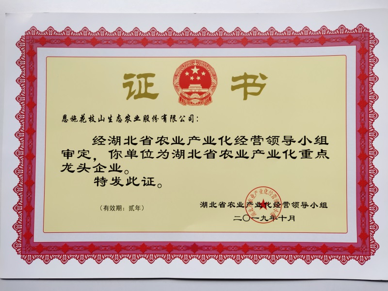 1.省龍頭企業(yè)證書(shū).jpg