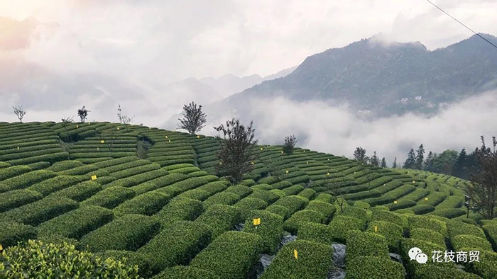 1619056127174.jpg 微信圖片_20210422094732.jpg