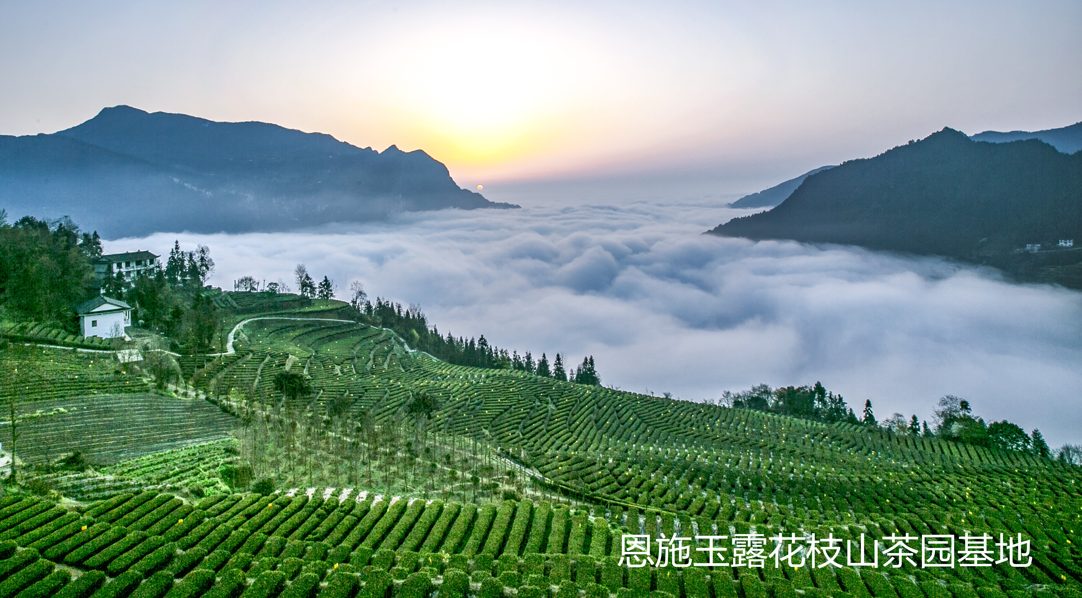 1669855009886.png 1669855009886.png