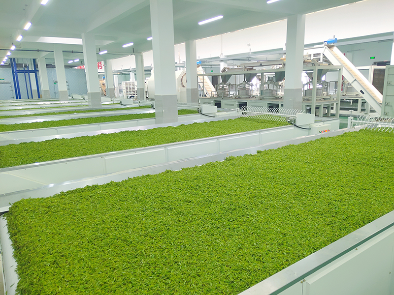 1670816789952.png 圖片7.png